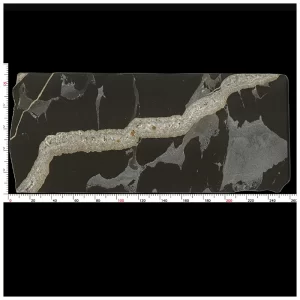 Python Black Granite Slab