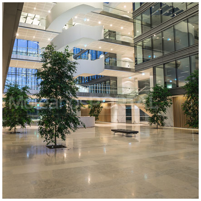 Grey Limestone Tiles For Building Lobby Project