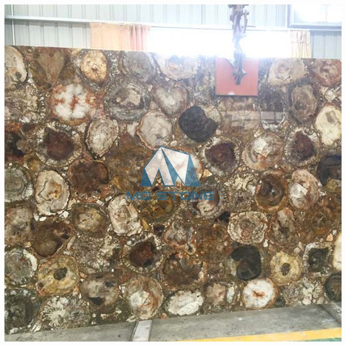 Плоче од окамењеног дрвета са драгим камењем