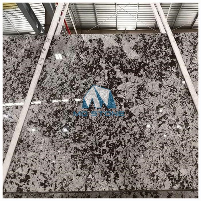 스플렌더 화이트 화강암 석판