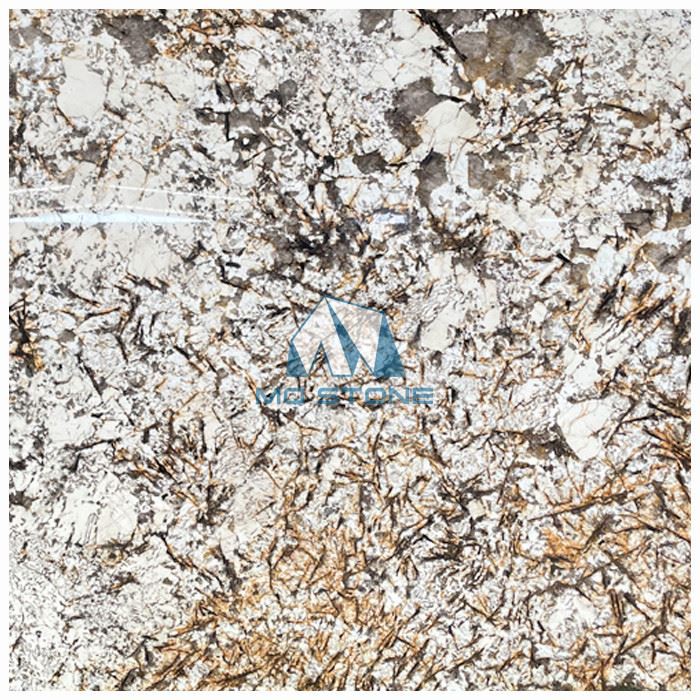 Granito Delicatus Gold