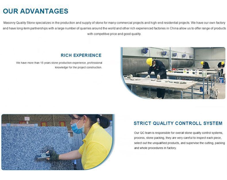 گل های بهاری Terrazzo