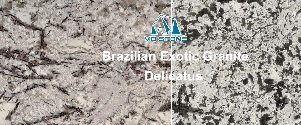 Delicatus White Granite