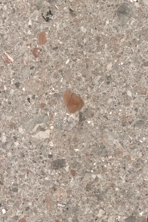 Ceppo Di Maron Marble